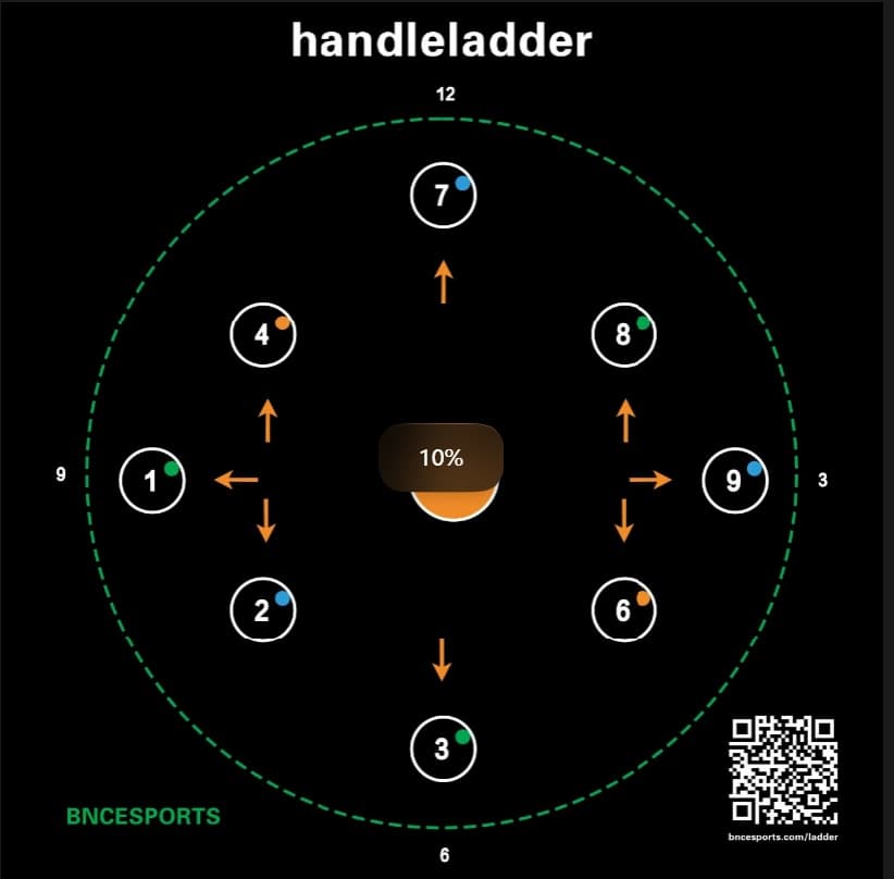 BNCE Handle Ladder training mat